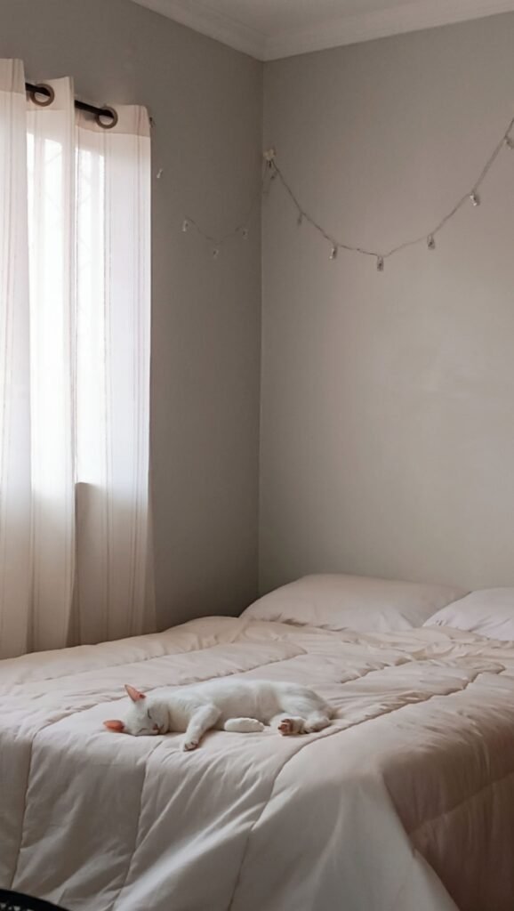 Top-Rated Bed Comforters for a Warm and Cozy Bedroom